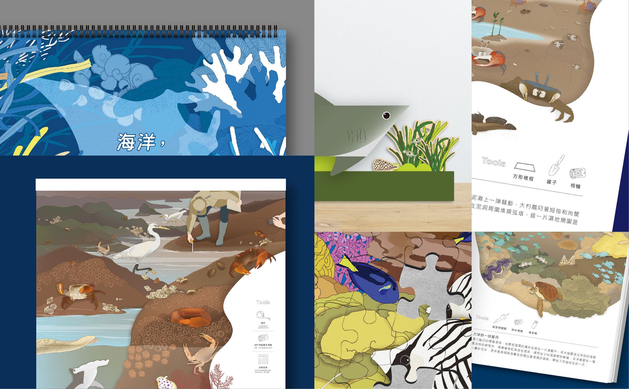 海洋保育月曆暨系列文宣品編製服務-04.jpg
