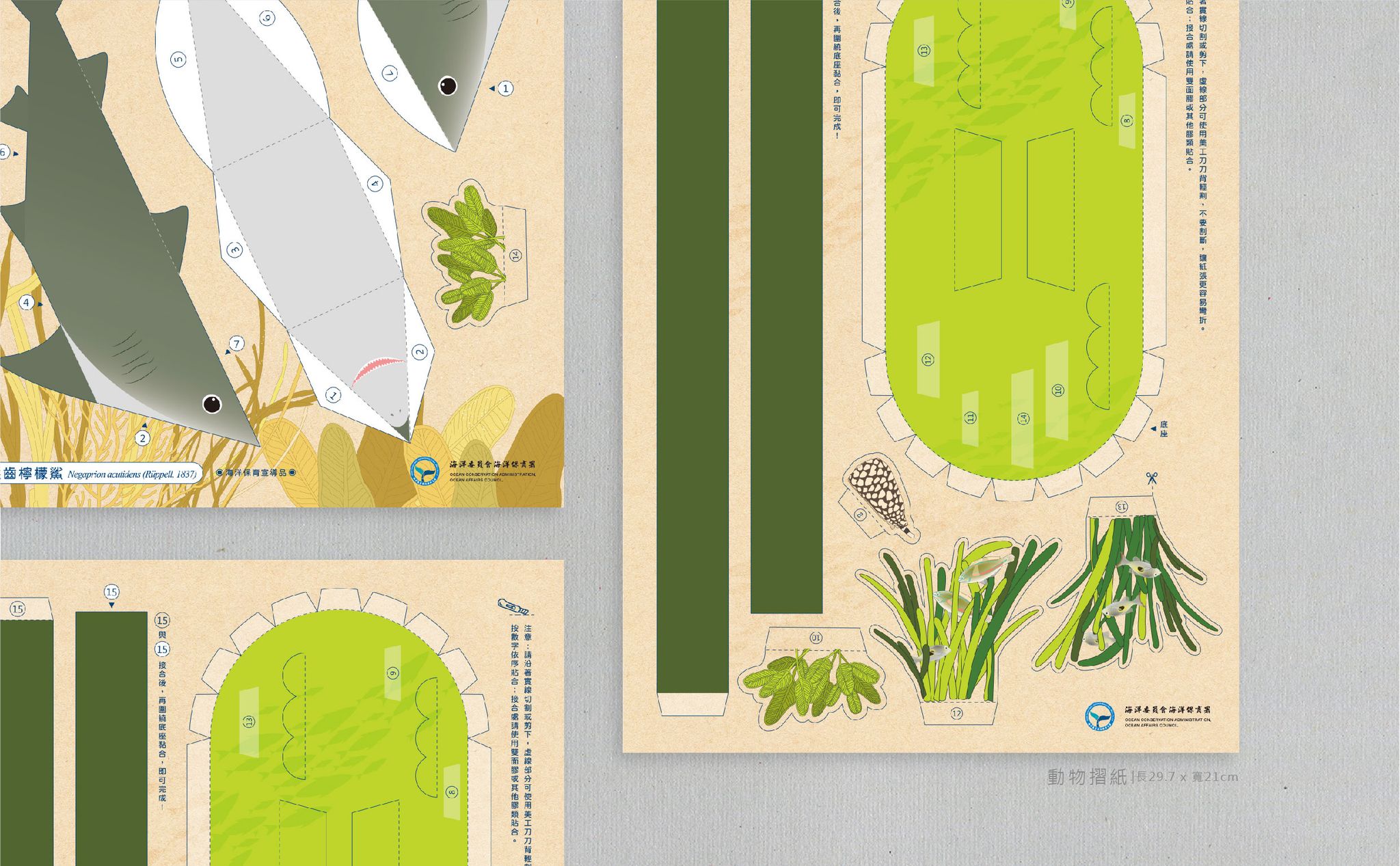 海洋保育月曆暨系列文宣品編製服務-14.jpg