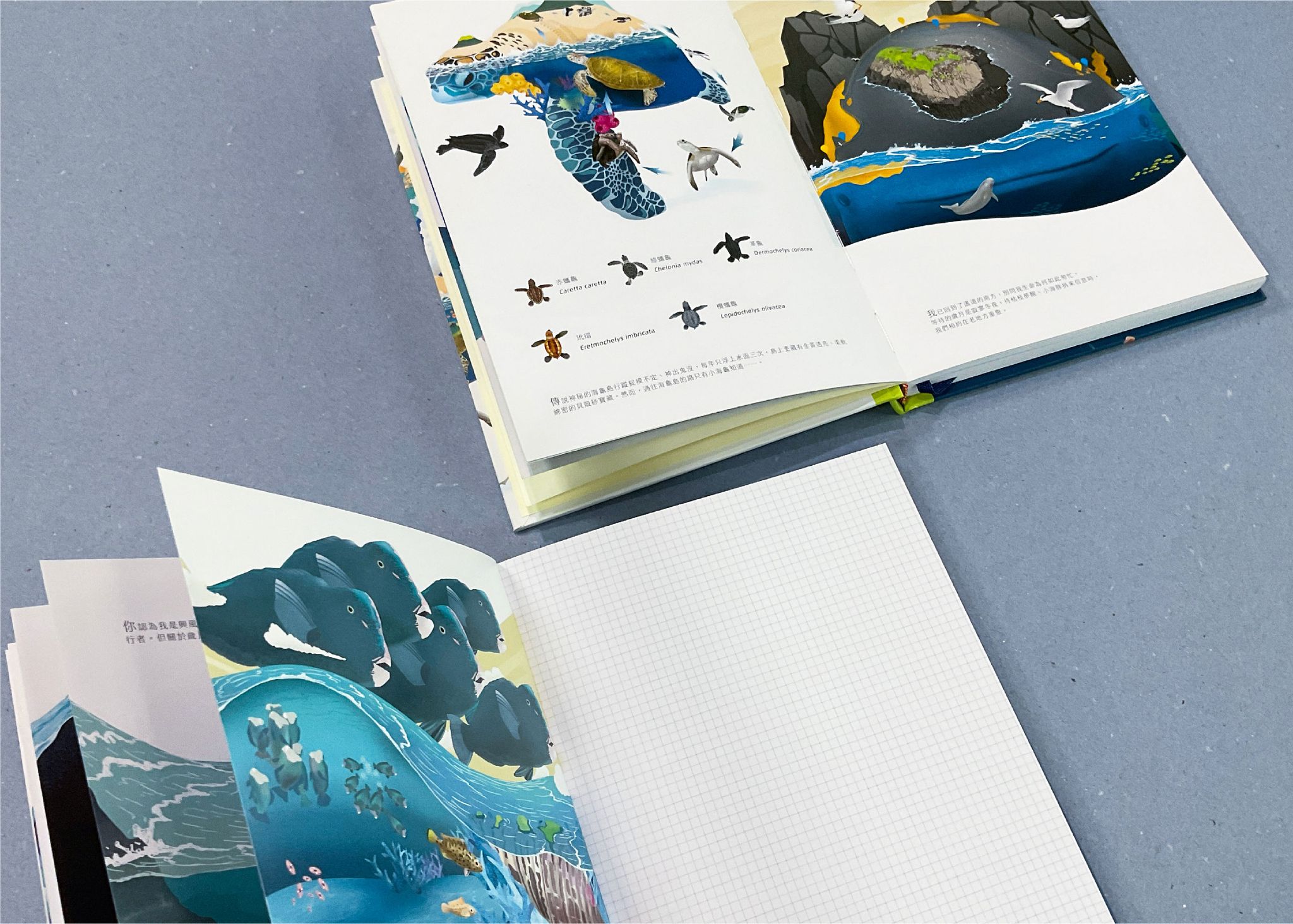 海洋保育教育推廣-11.jpg