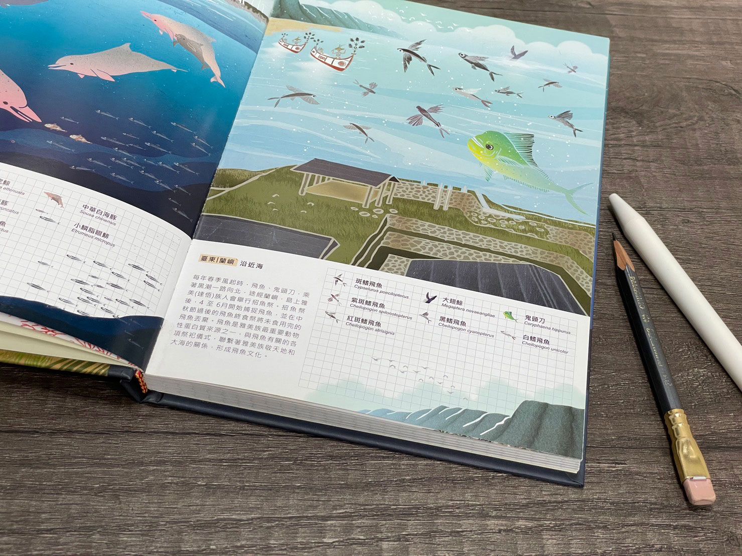 海洋保育宣導品(月曆)編製服務-08.jpg